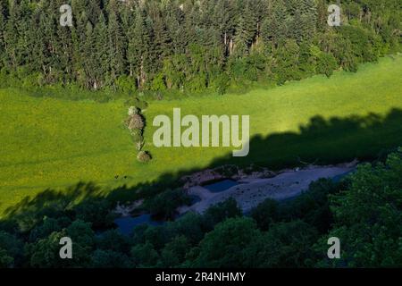 Eine Familie, die einen Tag in Mailscot Woods und Symonds Yat Rock, Forest of Dean, England, genießt. Stockfoto