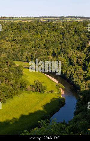 Eine Familie, die einen Tag in Mailscot Woods und Symonds Yat Rock, Forest of Dean, England, genießt. Stockfoto