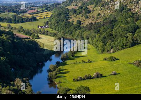 Eine Familie, die einen Tag in Mailscot Woods und Symonds Yat Rock, Forest of Dean, England, genießt. Stockfoto