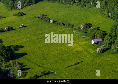 Eine Familie, die einen Tag in Mailscot Woods und Symonds Yat Rock, Forest of Dean, England, genießt. Stockfoto