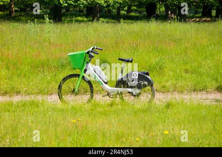 Lime-Bike/E-Bikes, die in einem Park in Richmond, Surrey, geparkt oder von einem rücksichtslosen Fahrradfahrer verlassen wurden. London, Großbritannien. (134) Stockfoto