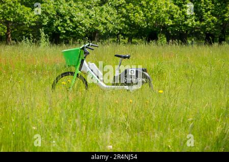 Lime-Bike/E-Bikes, die in einem Park in Richmond, Surrey, geparkt oder von einem rücksichtslosen Fahrradfahrer verlassen wurden. London, Großbritannien. (134) Stockfoto