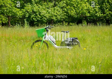 Lime-Bike/E-Bikes, die in einem Park in Richmond, Surrey, geparkt oder von einem rücksichtslosen Fahrradfahrer verlassen wurden. London, Großbritannien. (134) Stockfoto