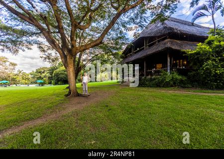 Garden of Kumbali Country Lodge in der Nähe von Lilongwe. Das zweistöckige Haupthaus mit Strohdach beherbergt das Restaurant und die Bar. Die Lodge befindet sich auf einer 650 Hektar großen Farm, 10 Minuten von der Innenstadt von Lilongwe entfernt, und verfügt über 16 Suiten mit Strohdach. Bar, Swimmingpool, Schaukel und Restaurant der Kumbali Country Lodge in Lilongwe, Malawi Stockfoto