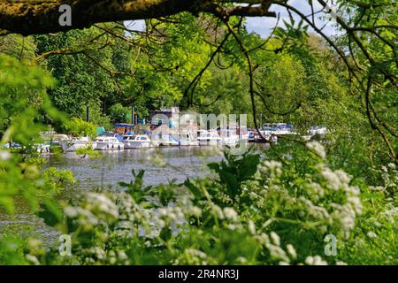 The Riverside at Twickenham an einem heißen Sommertag Greater London England UK Stockfoto