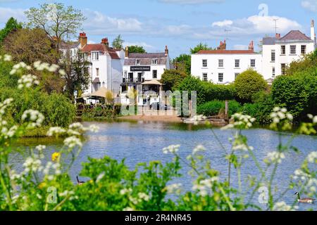 The Riverside at Twickenham an einem heißen Sommertag Greater London England UK Stockfoto