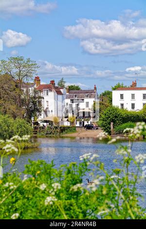 The Riverside at Twickenham an einem heißen Sommertag Greater London England UK Stockfoto