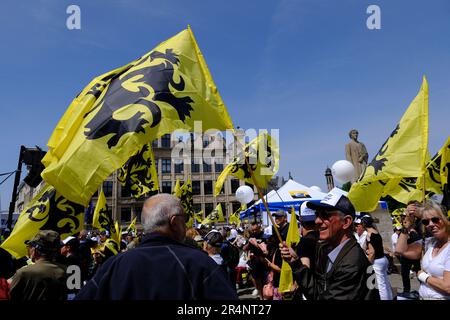 Brüssel, Belgien. 29. Mai 2023. Anhänger der flämischen rechtsextremen Partei Vlaams Belang winken bei einem Protest in Brüssel am 29. Mai 2023 die Flaggen von Flandre. Kredit: ALEXANDROS MICHAILIDIS/Alamy Live News Stockfoto