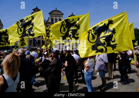 Brüssel, Belgien. 29. Mai 2023. Anhänger der flämischen rechtsextremen Partei Vlaams Belang winken bei einem Protest in Brüssel am 29. Mai 2023 die Flaggen von Flandre. Kredit: ALEXANDROS MICHAILIDIS/Alamy Live News Stockfoto