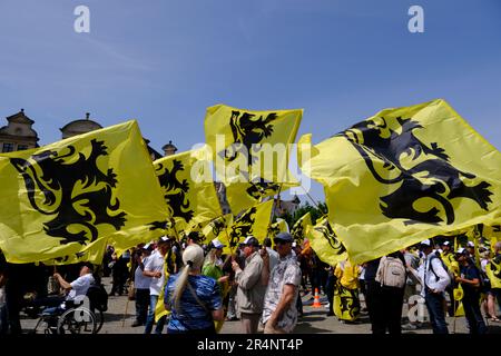 Brüssel, Belgien. 29. Mai 2023. Anhänger der flämischen rechtsextremen Partei Vlaams Belang winken bei einem Protest in Brüssel am 29. Mai 2023 die Flaggen von Flandre. Kredit: ALEXANDROS MICHAILIDIS/Alamy Live News Stockfoto