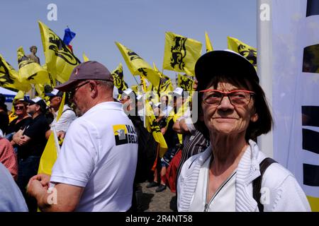 Brüssel, Belgien. 29. Mai 2023. Anhänger der flämischen rechtsextremen Partei Vlaams Belang winken bei einem Protest in Brüssel am 29. Mai 2023 die Flaggen von Flandre. Kredit: ALEXANDROS MICHAILIDIS/Alamy Live News Stockfoto