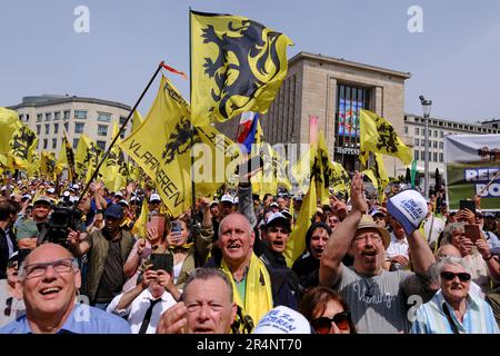 Brüssel, Belgien. 29. Mai 2023. Anhänger der flämischen rechtsextremen Partei Vlaams Belang winken bei einem Protest in Brüssel am 29. Mai 2023 die Flaggen von Flandre. Kredit: ALEXANDROS MICHAILIDIS/Alamy Live News Stockfoto