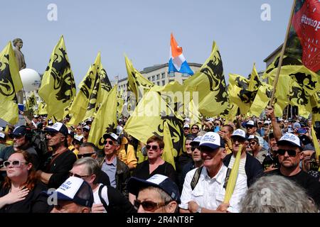 Brüssel, Belgien. 29. Mai 2023. Anhänger der flämischen rechtsextremen Partei Vlaams Belang winken bei einem Protest in Brüssel am 29. Mai 2023 die Flaggen von Flandre. Kredit: ALEXANDROS MICHAILIDIS/Alamy Live News Stockfoto