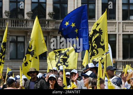 Brüssel, Belgien. 29. Mai 2023. Anhänger der flämischen rechtsextremen Partei Vlaams Belang winken bei einem Protest in Brüssel am 29. Mai 2023 die Flaggen von Flandre. Kredit: ALEXANDROS MICHAILIDIS/Alamy Live News Stockfoto