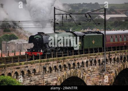 Die Flying Scotsman Dampflokomotive Nr. 60103, der berühmteste Zug der Welt, der nach Norden über die Royal Border Bridge über den Fluss Tweed fährt. Stockfoto