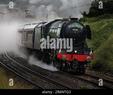 Die Flying Scotsman Dampflokomotive Nr. 60103, der berühmteste Zug der Welt, der Richtung Norden aus Berwick upon Tweed fährt. Northumberland, England Stockfoto