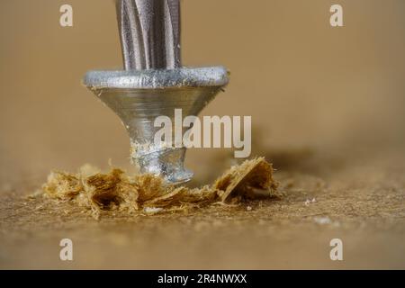 Torx-Bit Bohren der kleinen Schraube in das Holz, Makro-Nahaufnahme. Stockfoto