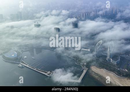 (230529) -- ZHANJIANG, 29. Mai 2023 (Xinhua) -- Dieses Luftfoto wurde am 13. Januar 2023 aufgenommen und zeigt die städtischen Gebiete, die von Nebel der Stadt Zhanjiang umgeben sind, in der südchinesischen Provinz Guangdong. An der östlichen Grenze zum Südchinesischen Meer und im Westen zum Beibu-Golf und südlich gegenüber der Insel Hainan über die Straße von Qiongzhou, Die Stadt Zhanjiang in der südchinesischen Provinz Guangdong verfügt über die größte Fläche an Mangrovenwäldern im ganzen Land und ist eine wichtige Basis für Wasserprodukte. In den letzten Jahren hat die Stadt großen Wert auf die Entwicklung grüner Industrien und der Meereswirtschaft gelegt. (Foto b Stockfoto