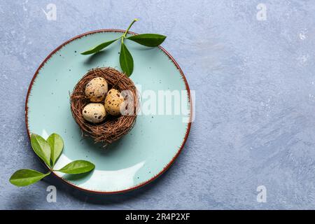 Nest mit frischen Wachteleiern auf blauem Hintergrund Stockfoto