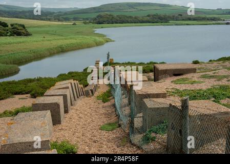 "Dragons Tears", Ameisenpanzer-Verteidigung am Chisel Beach bei Abbotsbury, Dorset. Stockfoto