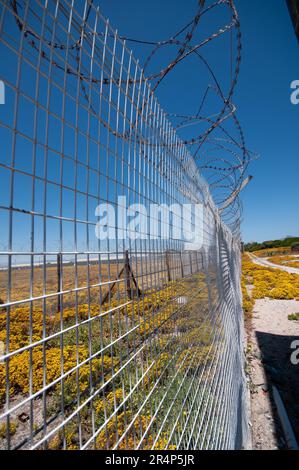 Zaunlinien im Hochsicherheitsgefängnis auf Robben Island, nahe Kapstadt, wo Nelson Mandela inhaftiert war Stockfoto