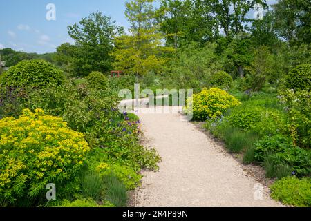 Blumenbeete im Welcome Garden bei RHS Bridgewater, Worsley Greater Manchester, England. Stockfoto