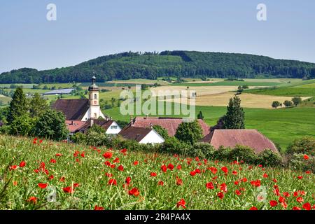 Olsberg Abbey ist ein ehemaliges Zisterzienserkloster in der Gemeinde Olsberg, im Schweizer Kanton Aargau, nahe der Grenze zum Kanton Basel Stockfoto