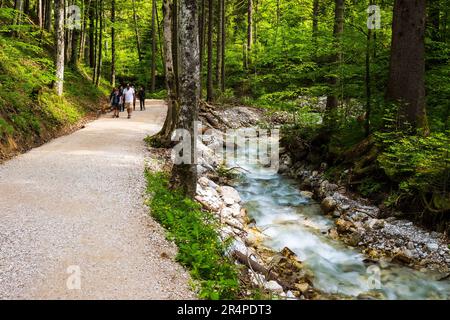 Blick auf eine Familienwanderung neben dem Wildwasser, das die malerische Dr. Vogelgesang-Klamm-Schlucht in Spital am Pyhrn, Österreich, hinunterragt Stockfoto