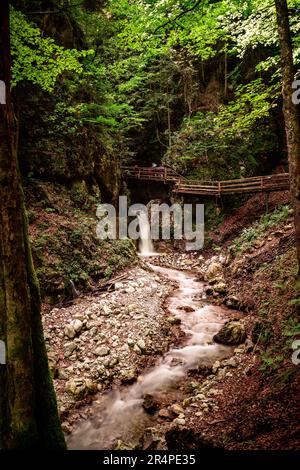 Wanderer, die in der malerischen Dr. Vogelgesang-Klamm-Schlucht in Spital am Pyhrn, Österreich, die Treppen neben dem Wildwasser hinunter klettern Stockfoto