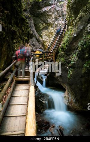 Wanderer, die in der malerischen Dr. Vogelgesang-Klamm-Schlucht in Spital am Pyhrn, Österreich, die Treppen neben dem Wildwasser hinunter klettern Stockfoto