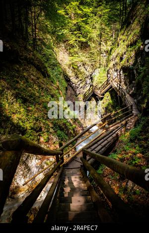 Blick auf hölzerne Gehwege durch den Dr. Vogelgesang-Klamm in Spital am Pyhrn, Österreich, einer schmalen Schlucht mit Wildwasserbach, der die Felsen hinunterstürzt Stockfoto