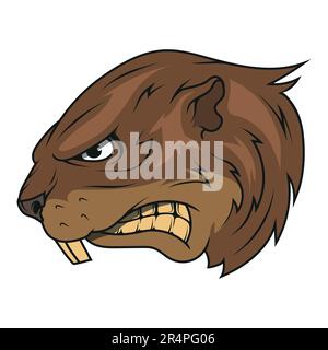 Biber. Vektordarstellung eines wütenden Bibers mit zwei scharfen Zähnen und einem riesigen Schwanz Stock Vektor