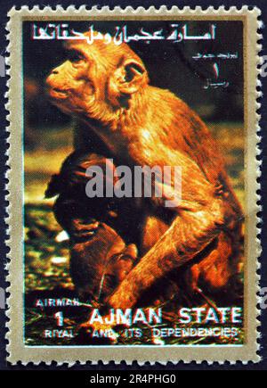 AJMAN - CIRCA 1973: Ein in Ajman gedruckter Stempel zeigt einen Affen aus der alten Welt, circa 1973 Stockfoto