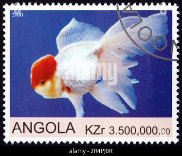 ANGOLA - CIRCA 2000: Ein in Angola gedruckter Stempel zeigt Goldfische, ca. 2000 Jahre alt Stockfoto