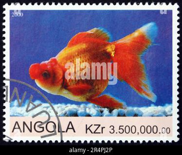 ANGOLA - CIRCA 2000: Ein in Angola gedruckter Stempel zeigt Goldfische, ca. 2000 Jahre alt Stockfoto