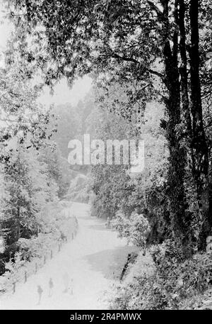 Südindien, von denen Teile heute als Pakistan bekannt sind: Auf der Kreisstraße Dalhousie. Aus einer Serie, die aus dem ursprünglichen Schnappschuss des Ersten Weltkriegs in Indien, c1917-19, aufgenommen wurde. Die Originale waren kleine Fotos, die bei zu großer Vergrößerung schlecht aussehen könnten. Stockfoto