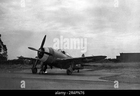 P-47D Thunderbolt Razorback - USAAF United States Army Air Force Republic P-47D Thunderbolt Razorback - WW2 / 2. Weltkrieg - 2. Weltkrieg über Europa Stockfoto