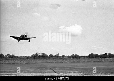 P-47D Thunderbolt Razorback - USAAF United States Army Air Force Republic P-47D Thunderbolt Razorback - WW2 / 2. Weltkrieg - 2. Weltkrieg über Europa Stockfoto