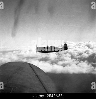 P-47D Thunderbolt Razorback - USAAF United States Army Air Force Republic P-47D Thunderbolt Razorback - WW2 / 2. Weltkrieg - 2. Weltkrieg über Europa Stockfoto