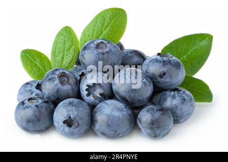 Frische Heidelbeeren mit Blättern auf weißem Hintergrund Stockfoto