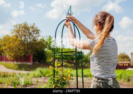 Junge Gärtnerin baut Metall-Obelisken zum Klettern von Rosen im Frühlingsgarten zusammen. Installieren des Säulenspalters. Befestigen des oberen Teils der Schraube Stockfoto