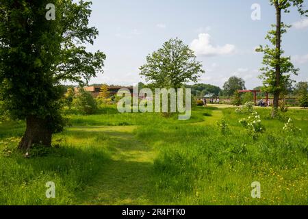 Das Gebäude „Welcome“, das durch die Bäume bei RHS Bridgewater, Worsley Greater Manchester, England, zu sehen ist. Stockfoto