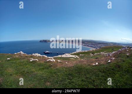 Llandudno Beach und City - Blick von Great Orme, Conwy, Nordwales Stockfoto