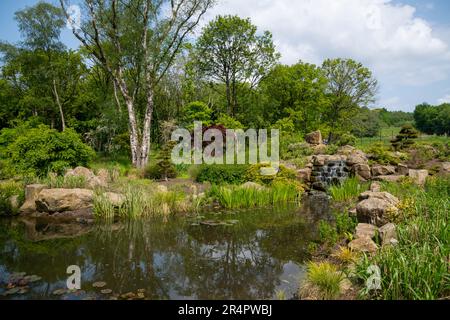 Chinesischer Garten am Flussufer bei RHS Bridgewater, Worsley Greater Manchester, England. Stockfoto