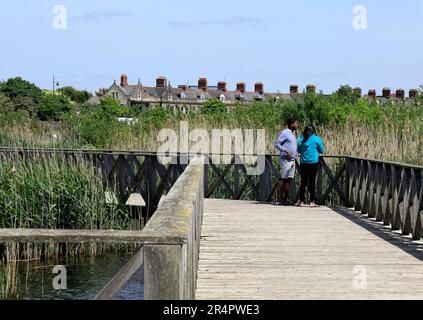 Paare, die das Naturschutzgebiet Cardiff Bay Wetland genießen. Mai 2023. Sommer. Stockfoto