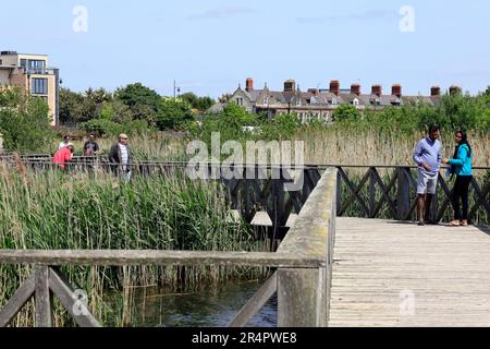 Menschen, die das Naturschutzgebiet Cardiff Bay Wetland genießen. Mai 2023. Sommer. Stockfoto