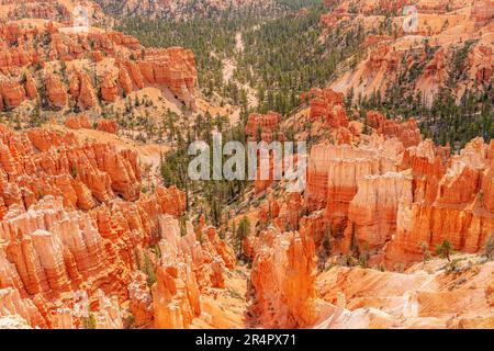 Der Brice Canyon-Nationalpark und der umliegende Landschaftsstaat Utah. Stockfoto