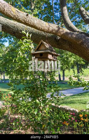 Ein hölzernes Vogelhaus, das am Ast hängt Stockfoto