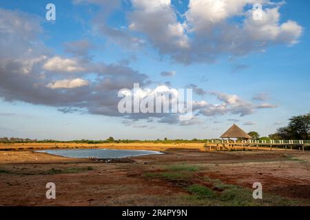 Ein Wasserloch, das die Tierwelt hinter einer Wildnis-Lodge anzieht. Kenia, Afrika. Stockfoto