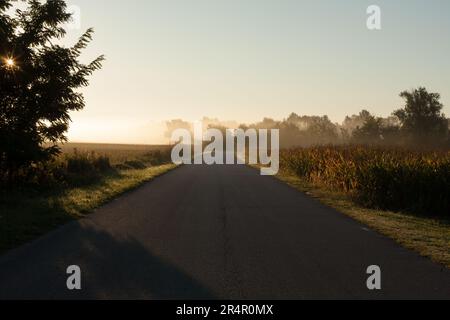 Die Straße, die an der Biegung durch Sonnenlicht beleuchtet wird. Sie vertreten die Inspiration, Gottes Erscheinungen, Aufklärung Stockfoto